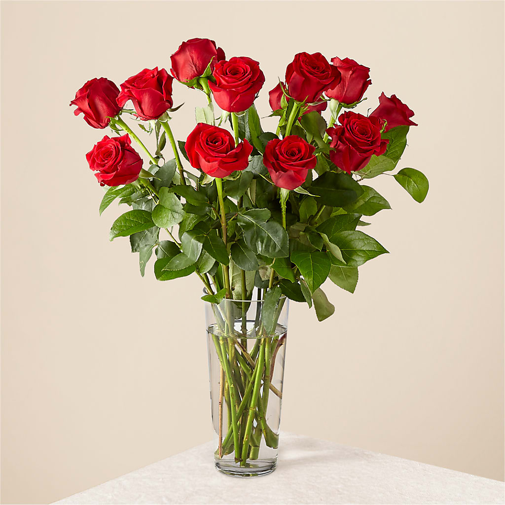 Long Stem Red Rose Bouquet – SIXTO'S FLOWER SHOP, Union City NJ