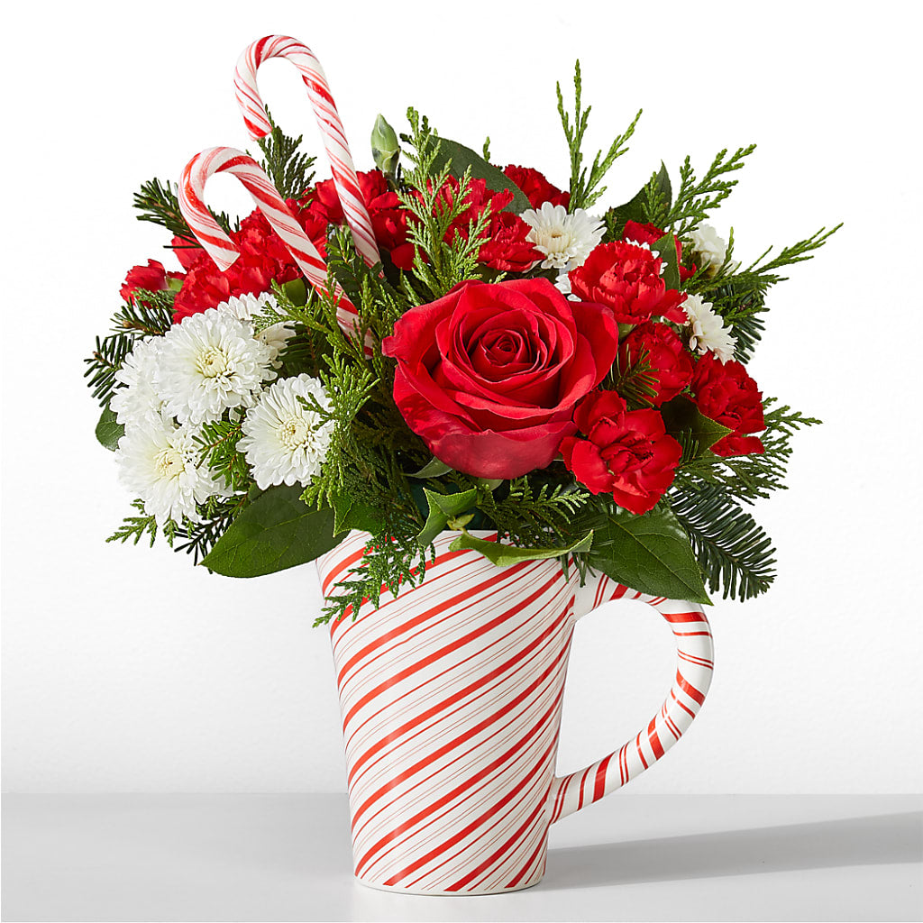 Peppermint Swirl Mug – SIXTO'S FLOWER SHOP, Union City NJ
