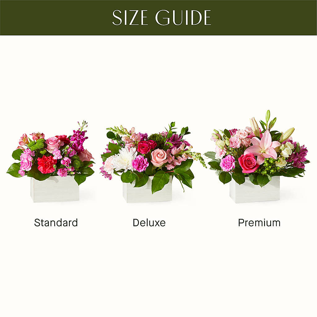 Sweetberry Box – A Florist Original – SIXTO'S FLOWER SHOP, Union City NJ