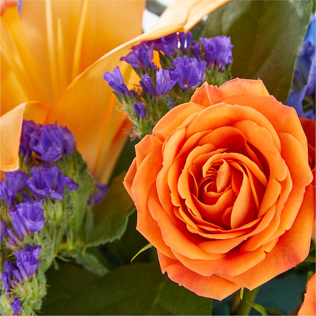 Radiant Citrus Box Bouquet – SIXTO'S FLOWER SHOP, Union City NJ