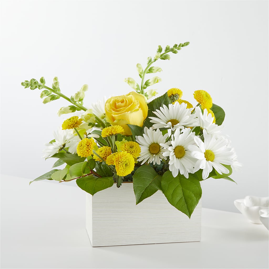Sun Salutation Box Bouquet – SIXTO'S FLOWER SHOP, Union City NJ