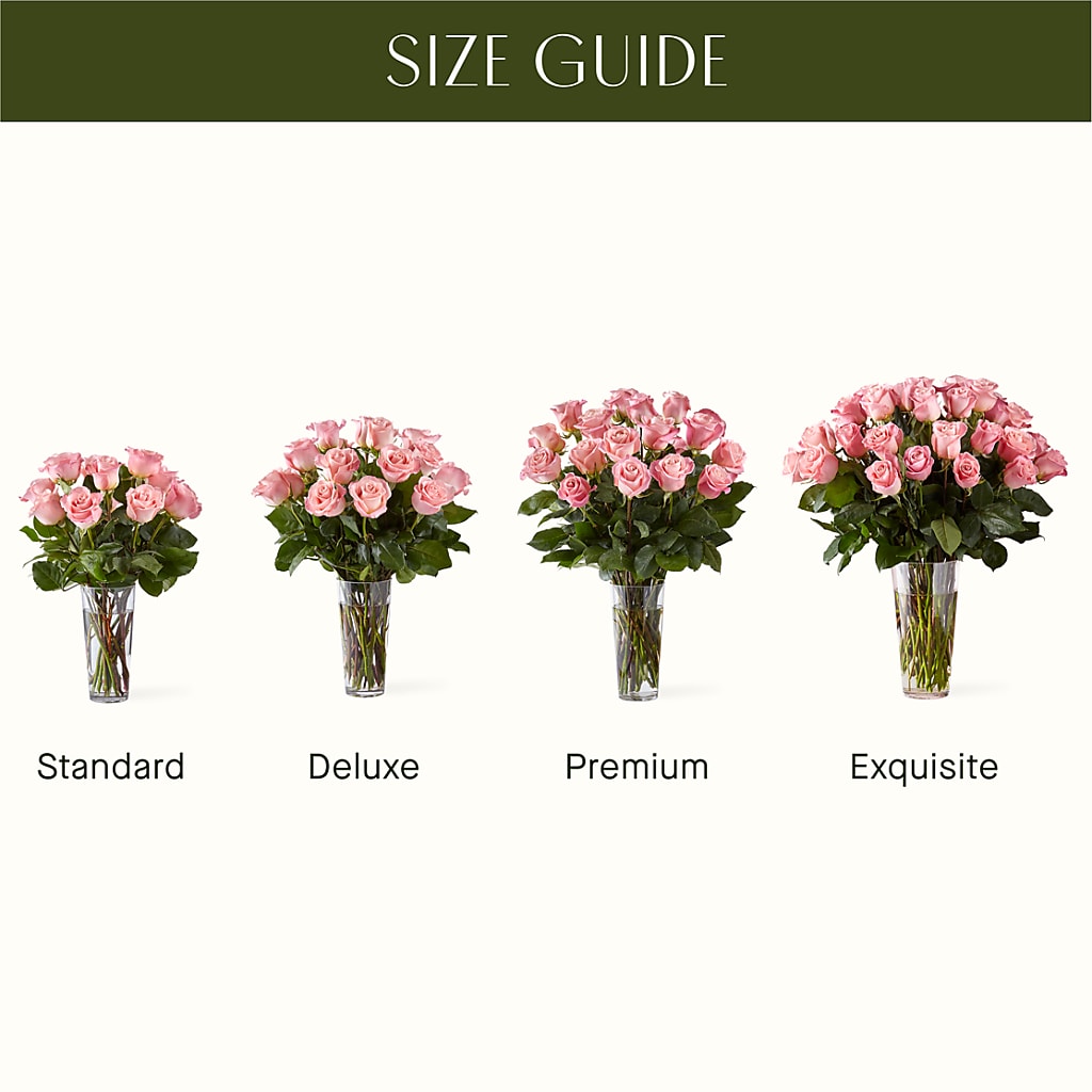 Long Stem Pink Rose Bouquet – SIXTO'S FLOWER SHOP, Union City NJ