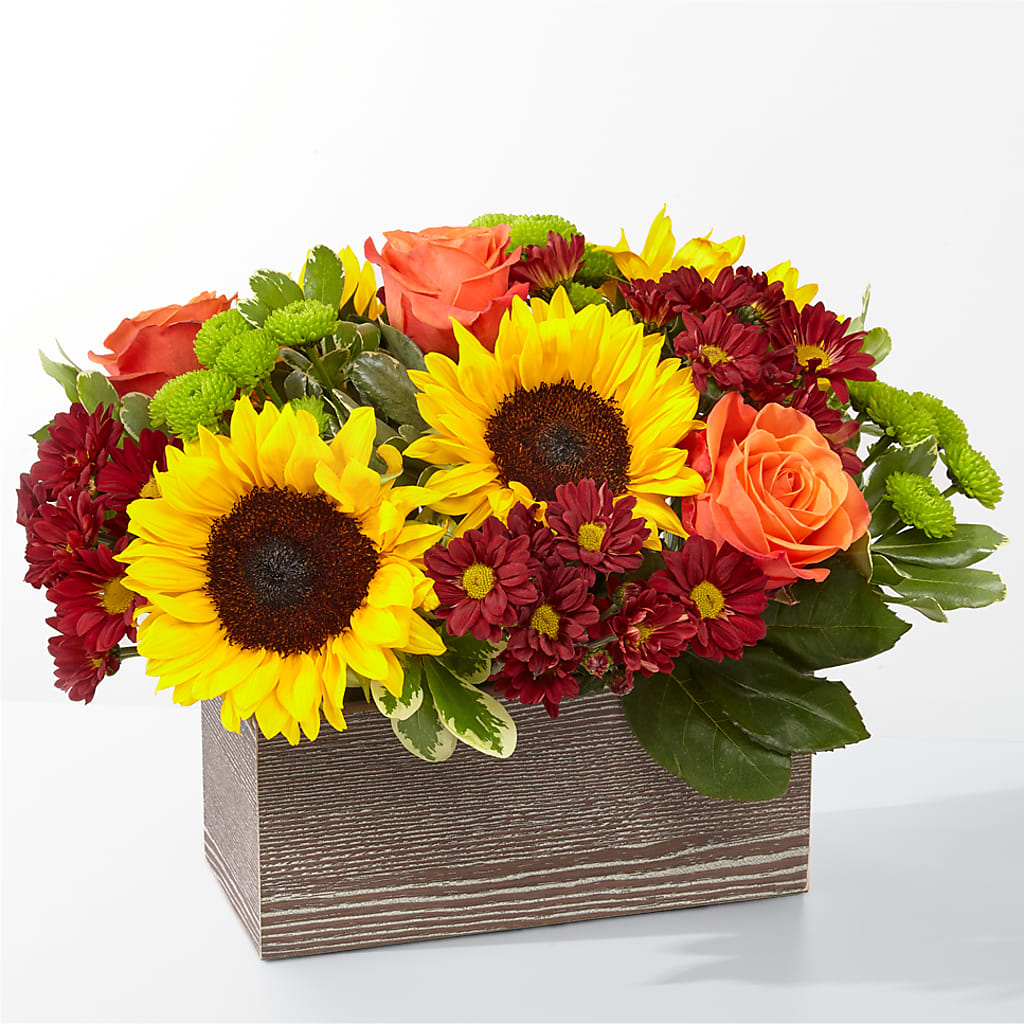 Happy Harvest Garden – SIXTO'S FLOWER SHOP, Union City NJ
