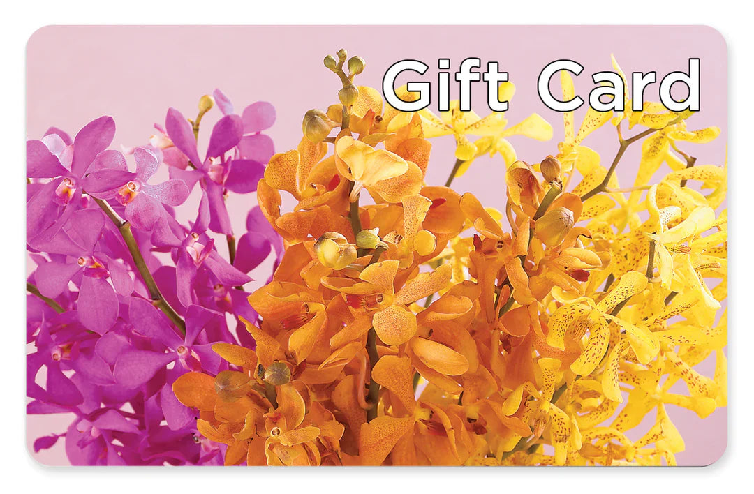 Gift Card – SIXTO'S FLOWER SHOP, Union City NJ