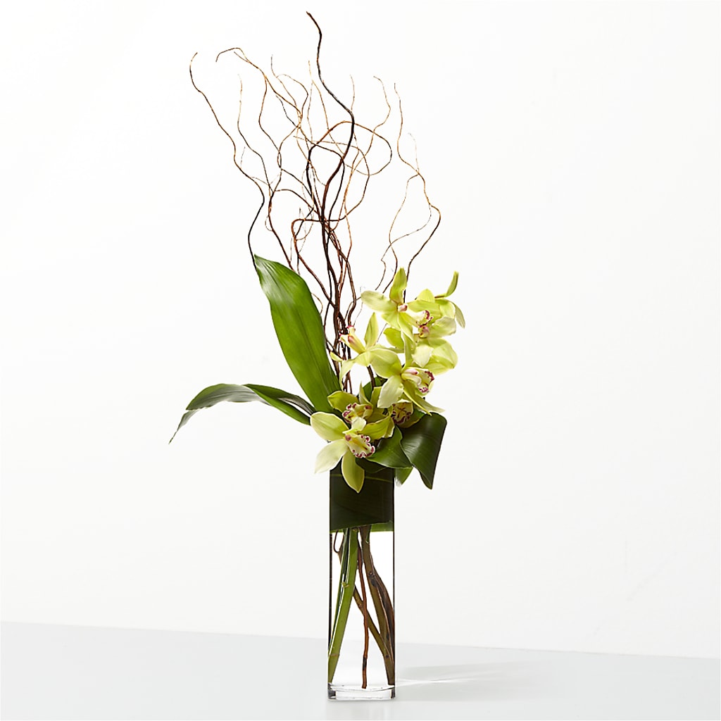 The Statement – SIXTO'S FLOWER SHOP, Union City NJ