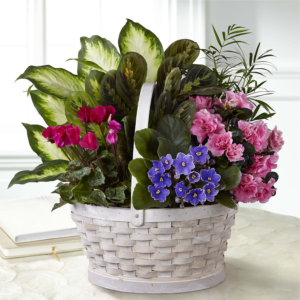 Peaceful Garden Planter – SIXTO'S FLOWER SHOP, Union City NJ