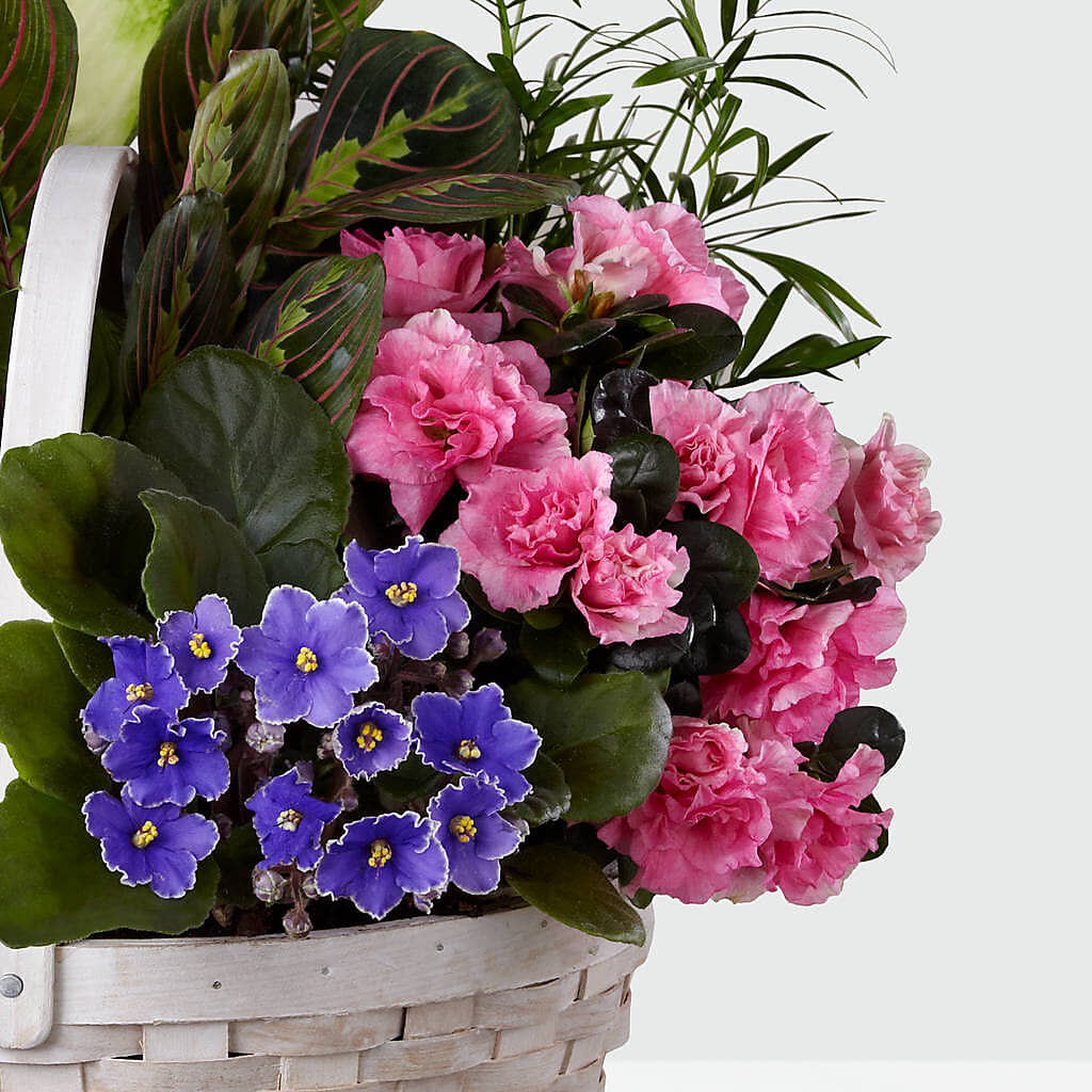 Peaceful Garden Planter – SIXTO'S FLOWER SHOP, Union City NJ