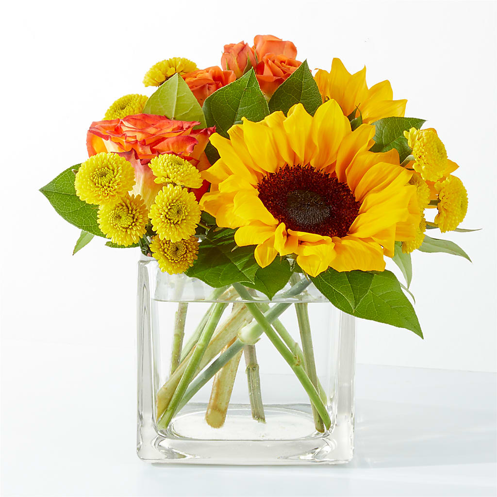 Picnic in the Park Bouquet – SIXTO'S FLOWER SHOP, Union City NJ