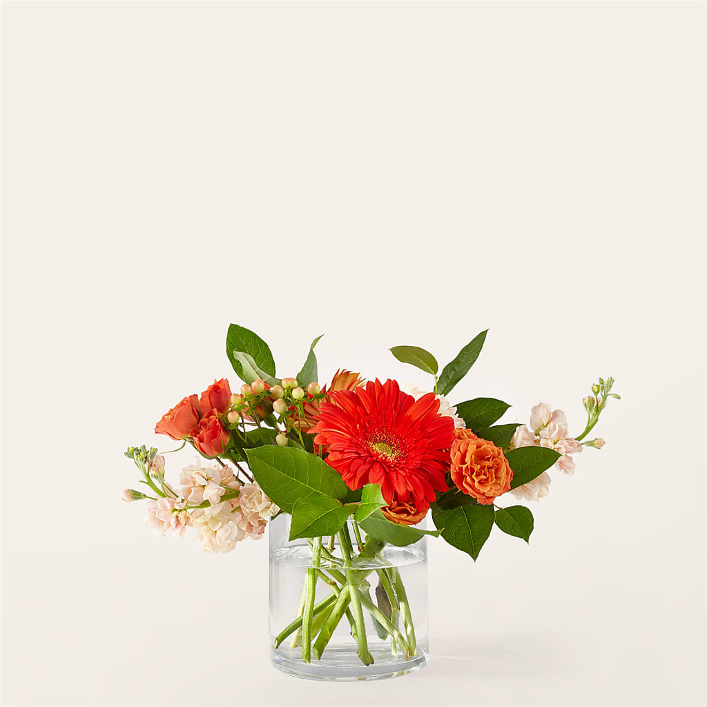 Paloma Please Bouquet – SIXTO'S FLOWER SHOP, Union City NJ