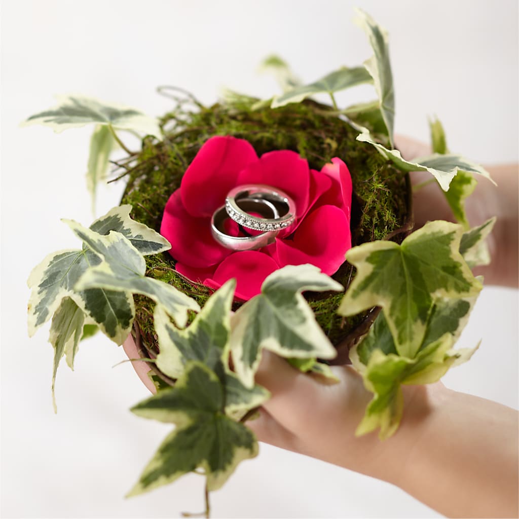 Lila Rose Ring Nest – SIXTO'S FLOWER SHOP, Union City NJ