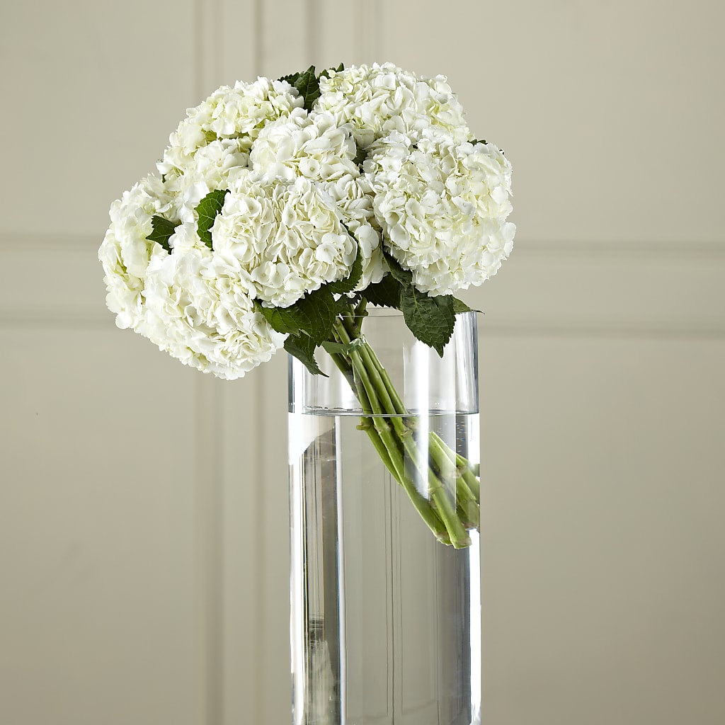 White Hydrangea Hand-Tied Bouquet – SIXTO'S FLOWER SHOP, Union City NJ