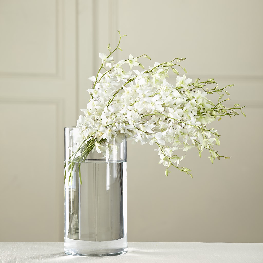 White Dendrobium Bouquet – SIXTO'S FLOWER SHOP, Union City NJ