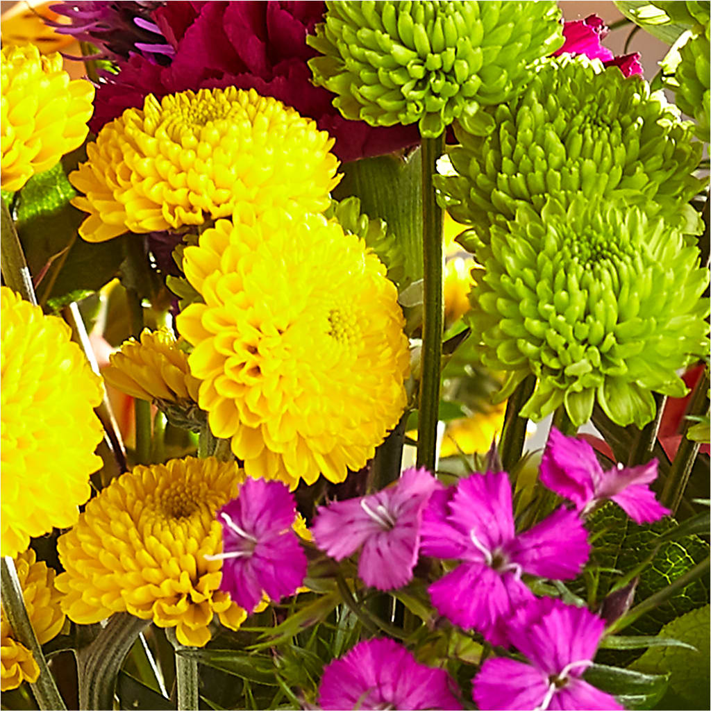 Bold & Bright – A Florist Original – SIXTO'S FLOWER SHOP, Union City NJ