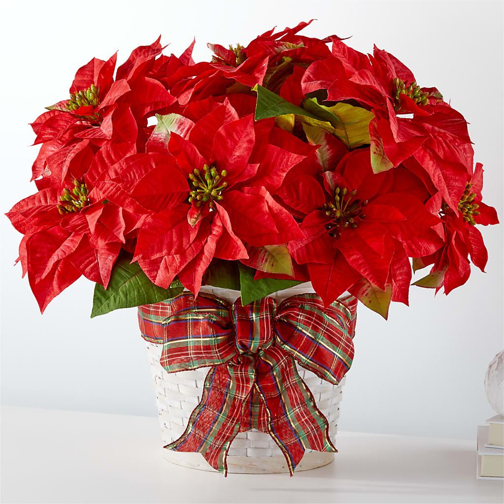 Happiest Holidays Poinsettia – SIXTO'S FLOWER SHOP, Union City NJ