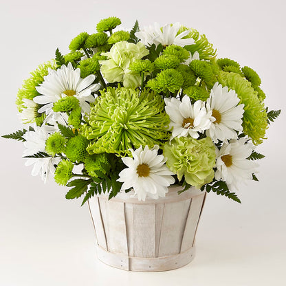 Lucky Charm Basket (Standard) – SIXTO'S FLOWER SHOP, Union City NJ