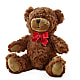 Adorable Plush Bear – SIXTO'S FLOWER SHOP, Union City NJ