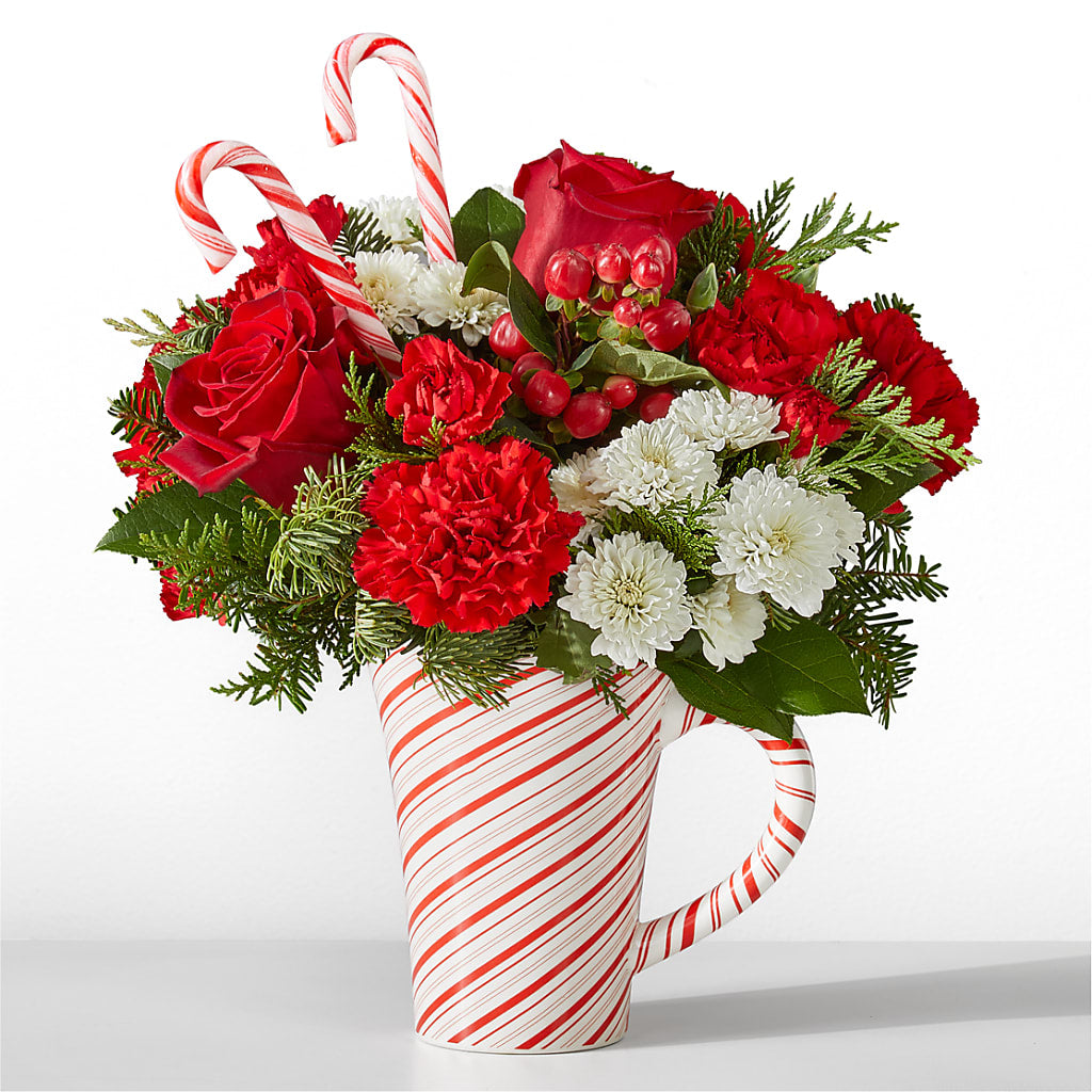 Peppermint Swirl Mug – SIXTO'S FLOWER SHOP, Union City NJ