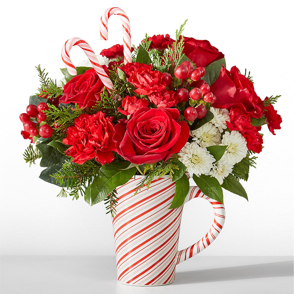 Peppermint Swirl Mug – SIXTO'S FLOWER SHOP, Union City NJ