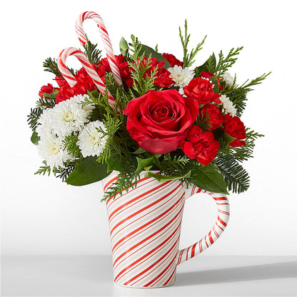 Peppermint Swirl Mug – SIXTO'S FLOWER SHOP, Union City NJ