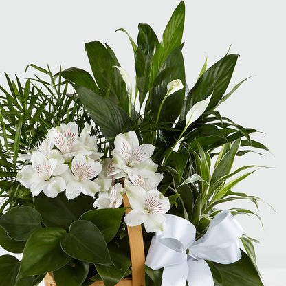 Peace & Serenity Dishgarden – SIXTO'S FLOWER SHOP, Union City NJ