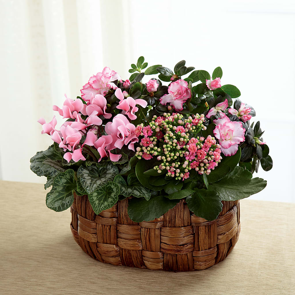 Pink Assortment – SIXTO'S FLOWER SHOP, Union City NJ
