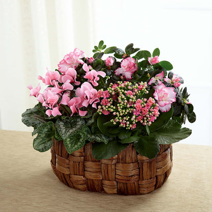 Pink Assortment – SIXTO'S FLOWER SHOP, Union City NJ