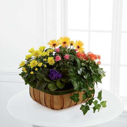 Gentle Blossoms Basket – SIXTO'S FLOWER SHOP, Union City NJ