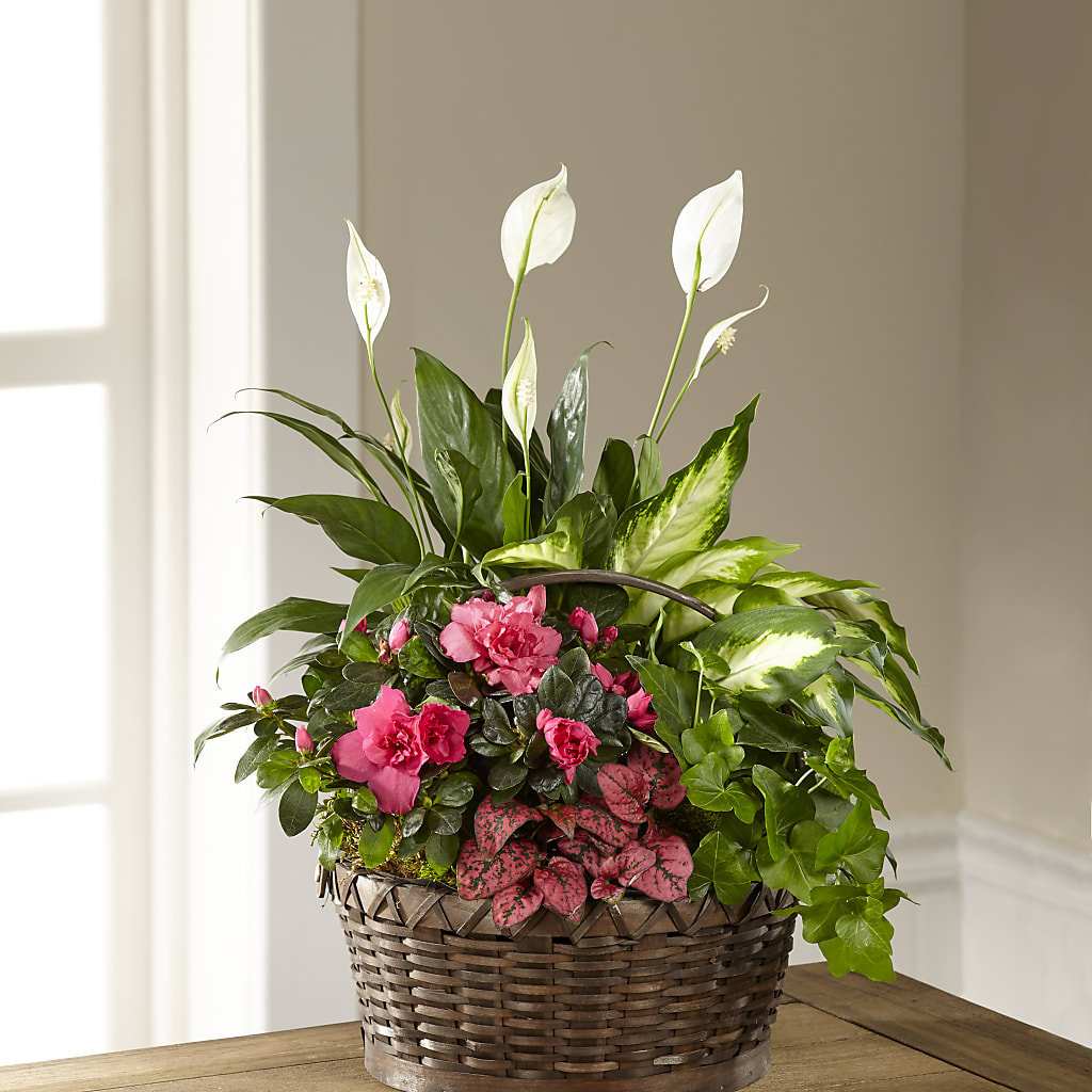 Dream in Pink Dishgarden – SIXTO'S FLOWER SHOP, Union City NJ