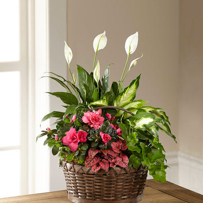 Dream in Pink Dishgarden – SIXTO'S FLOWER SHOP, Union City NJ
