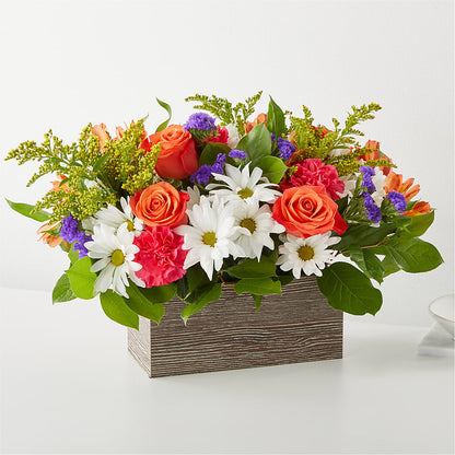 Oopsie Daisy Box Bouquet – SIXTO'S FLOWER SHOP, Union City NJ