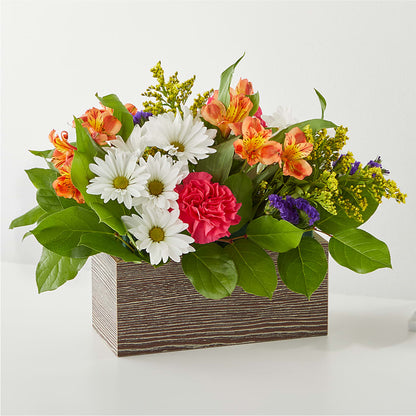 Oopsie Daisy Box Bouquet – SIXTO'S FLOWER SHOP, Union City NJ