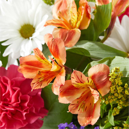 Oopsie Daisy Box Bouquet – SIXTO'S FLOWER SHOP, Union City NJ