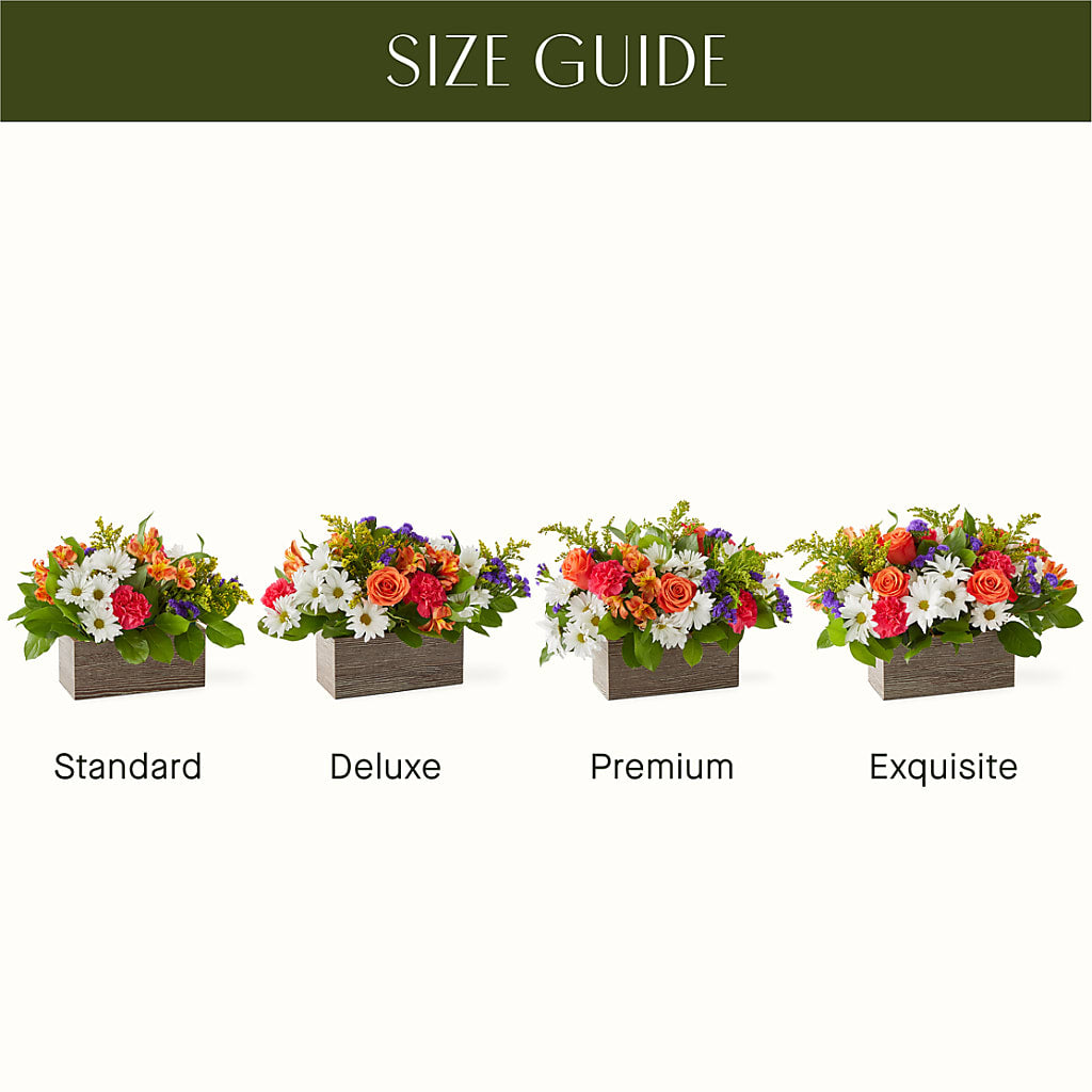 Oopsie Daisy Box Bouquet – SIXTO'S FLOWER SHOP, Union City NJ