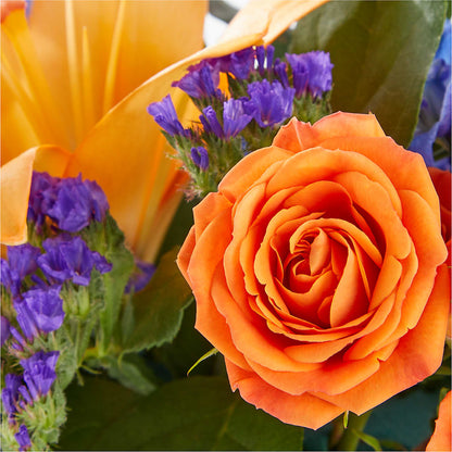 Radiant Citrus Box Bouquet – SIXTO'S FLOWER SHOP, Union City NJ