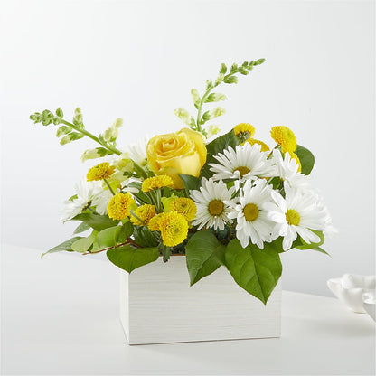 Sun Salutation Box Bouquet – SIXTO'S FLOWER SHOP, Union City NJ