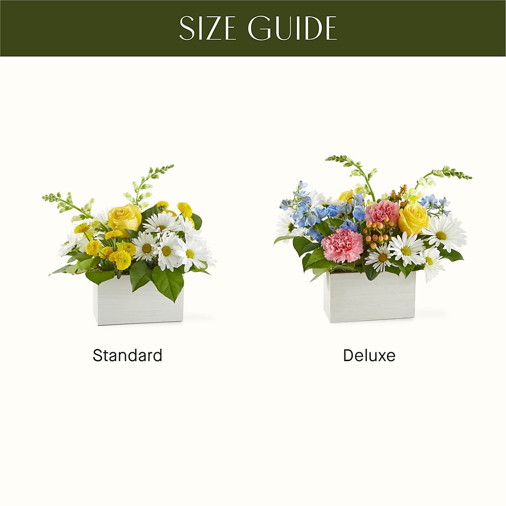 Sun Salutation Box Bouquet – SIXTO'S FLOWER SHOP, Union City NJ