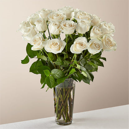 Long Stem White Rose Bouquet – SIXTO'S FLOWER SHOP, Union City NJ