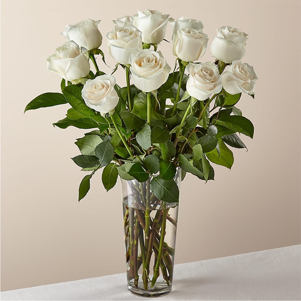 Long Stem White Rose Bouquet – SIXTO'S FLOWER SHOP, Union City NJ