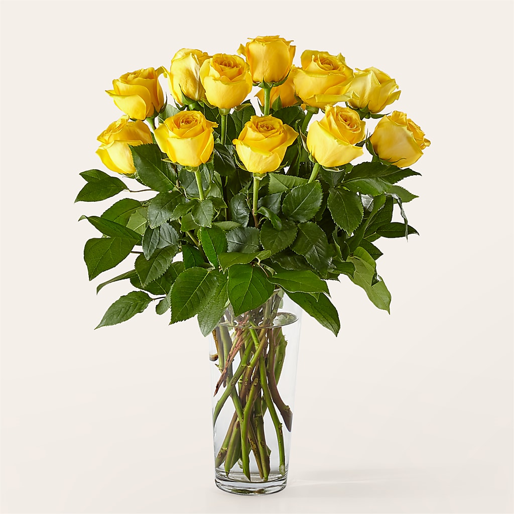 Long Stem Yellow Rose Bouquet – SIXTO'S FLOWER SHOP, Union City NJ
