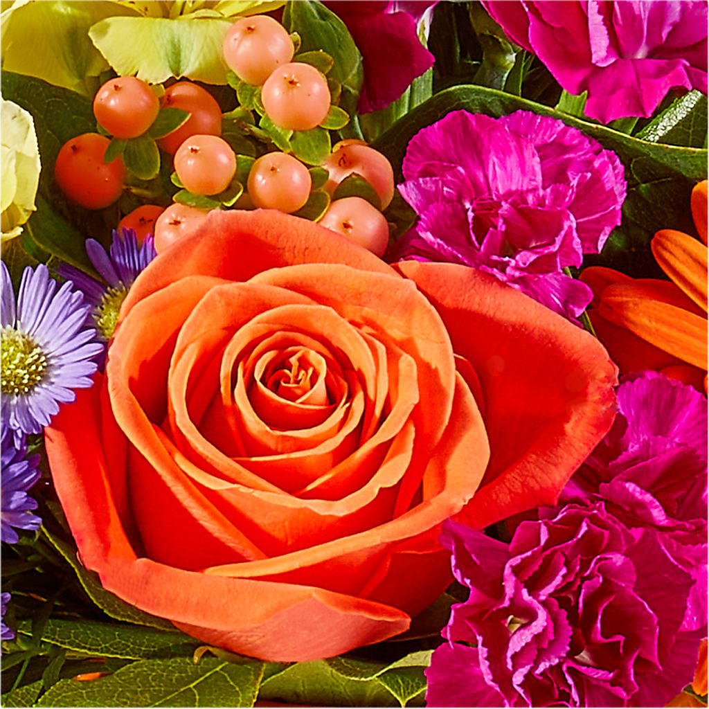 Tricks & Treats Pumpkin – SIXTO'S FLOWER SHOP, Union City NJ