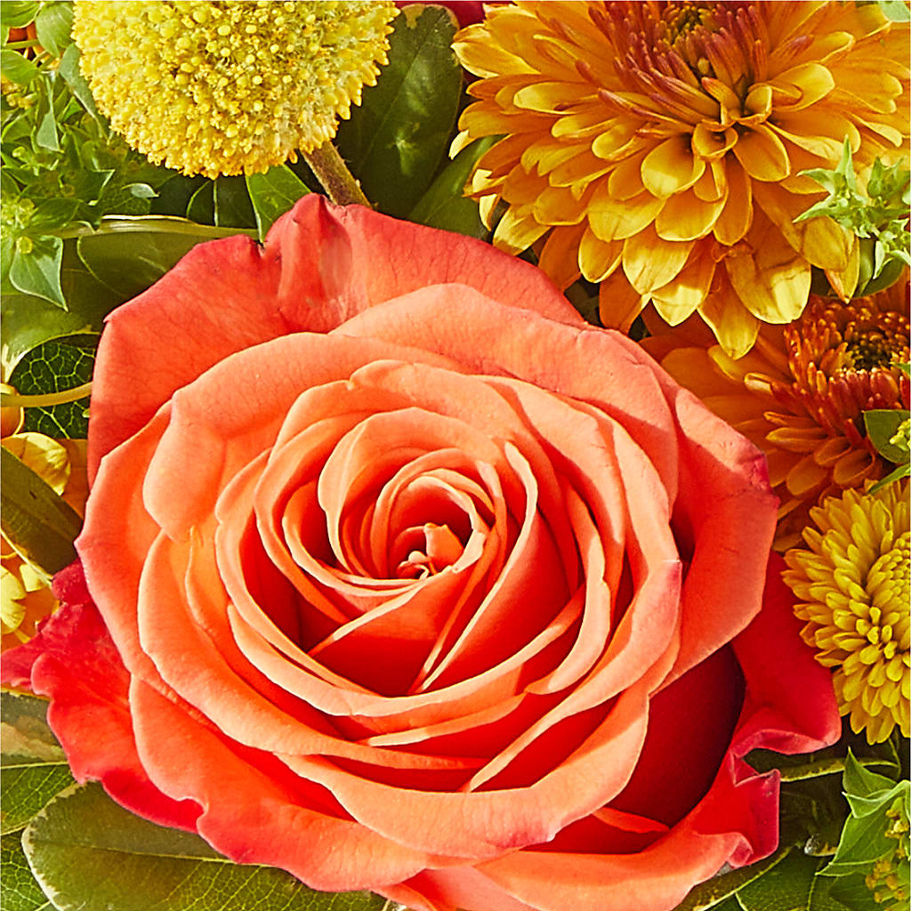 Gourdgeous Pumpkin – SIXTO'S FLOWER SHOP, Union City NJ