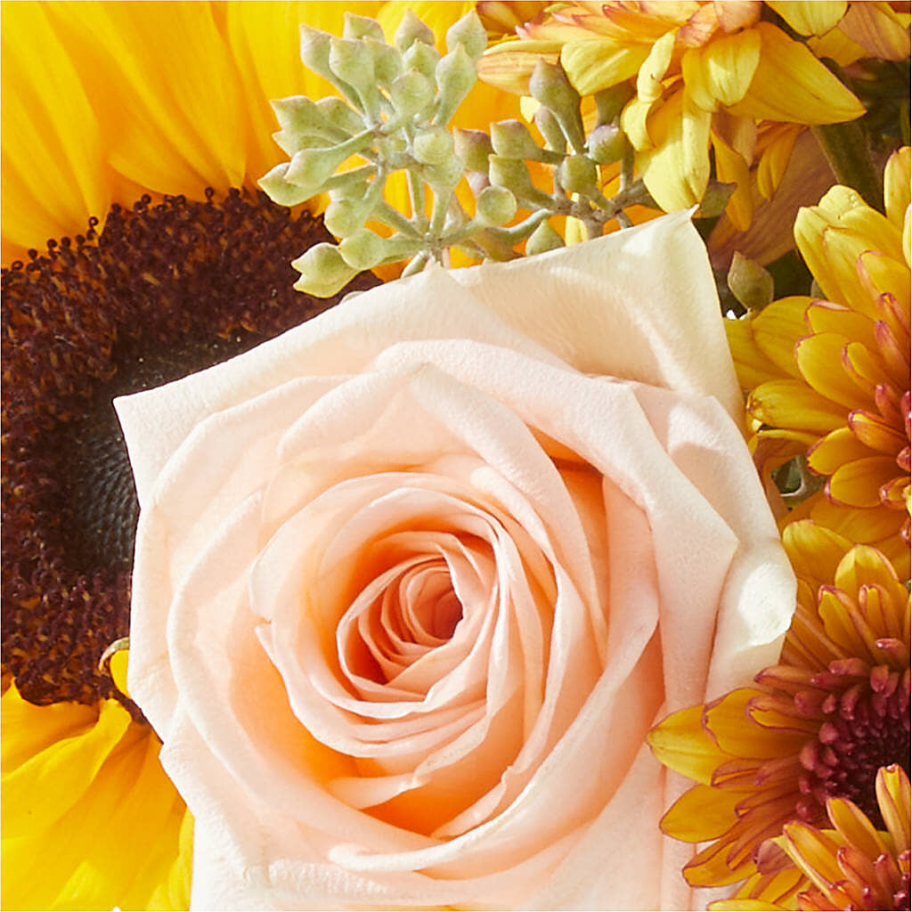 Pumpkin to Talk About Bouquet – SIXTO'S FLOWER SHOP, Union City NJ