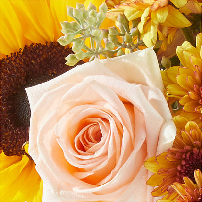 Pumpkin to Talk About Bouquet – SIXTO'S FLOWER SHOP, Union City NJ
