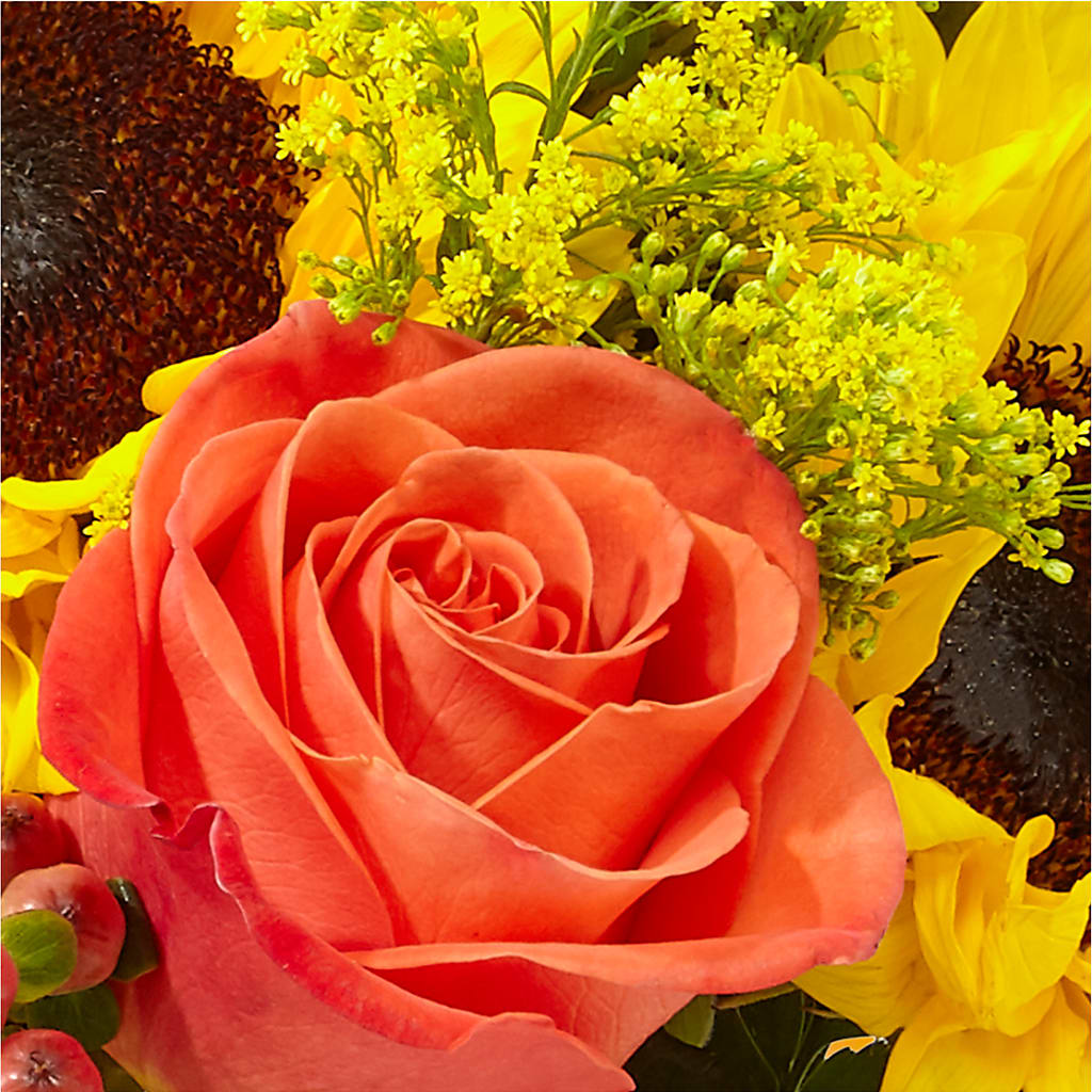 Pick of the Patch Pumpkin Bouquet – SIXTO'S FLOWER SHOP, Union City NJ