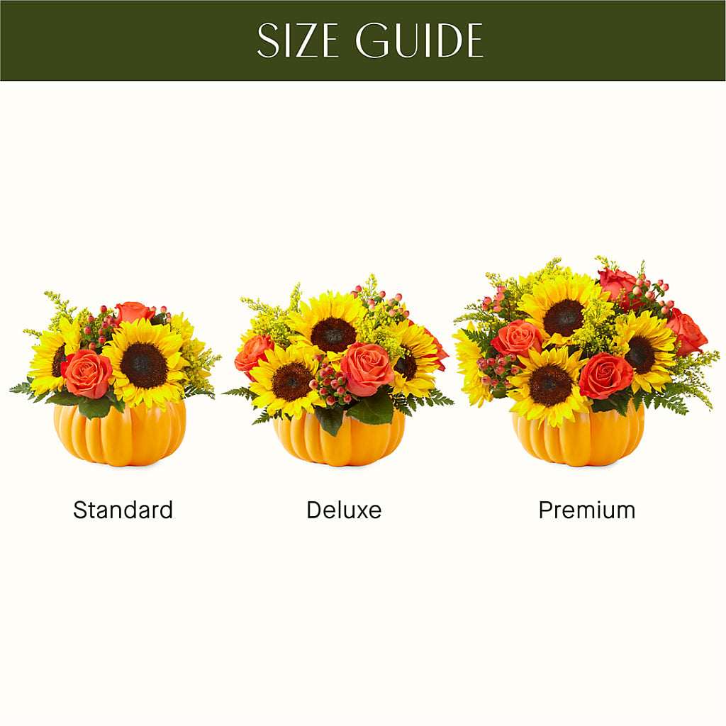 Pick of the Patch Pumpkin Bouquet – SIXTO'S FLOWER SHOP, Union City NJ