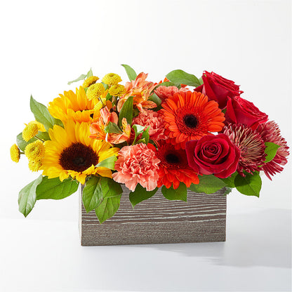 Autumn Orchard Bouquet – SIXTO'S FLOWER SHOP, Union City NJ