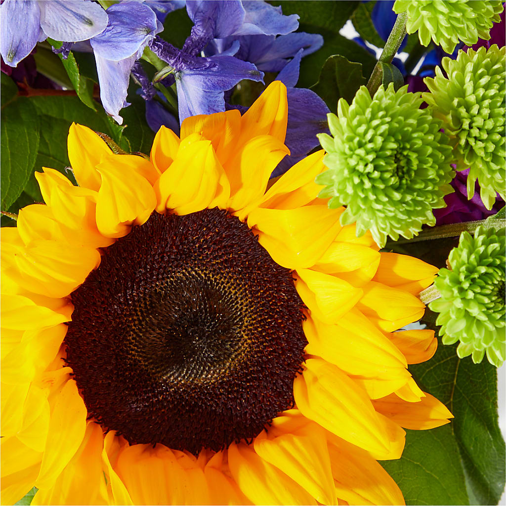 Catching Rays Bouquet – SIXTO'S FLOWER SHOP, Union City NJ
