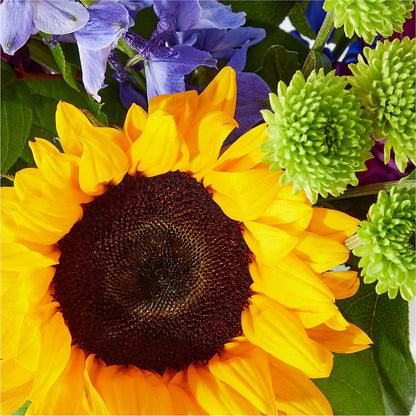 Catching Rays Bouquet – SIXTO'S FLOWER SHOP, Union City NJ