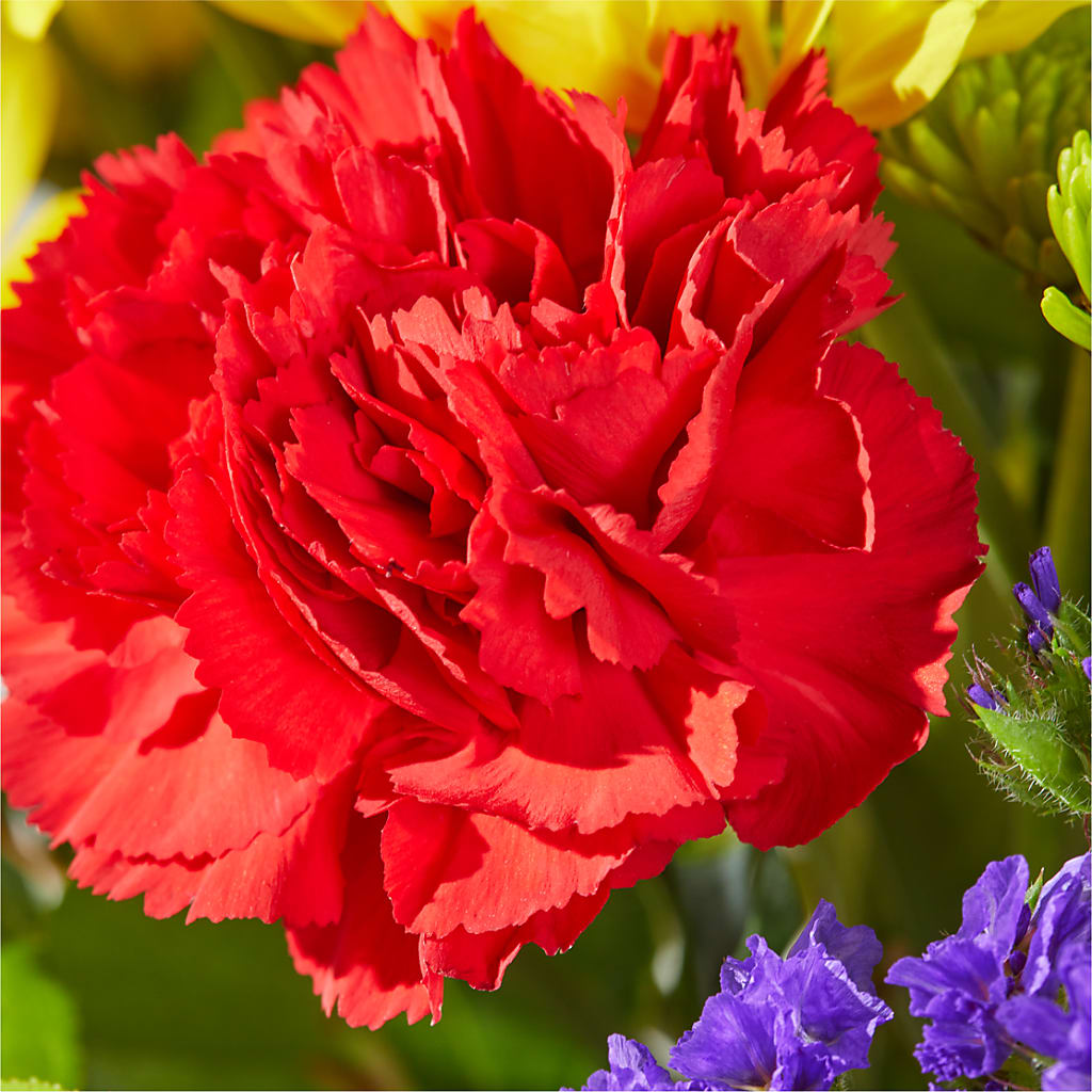 Brighter Days Bouquet – SIXTO'S FLOWER SHOP, Union City NJ