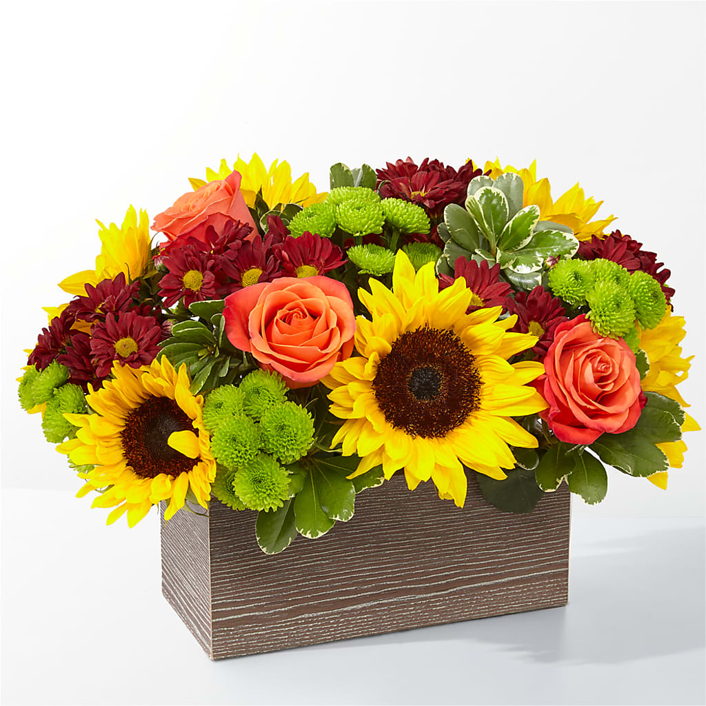Happy Harvest Garden – SIXTO'S FLOWER SHOP, Union City NJ